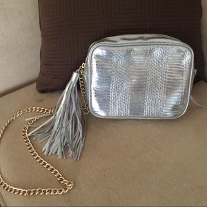 Metallic silver Purse